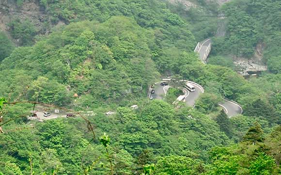 緑に囲まれたカーブが続く道