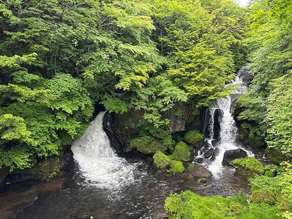 緑の中を流れる2本の滝