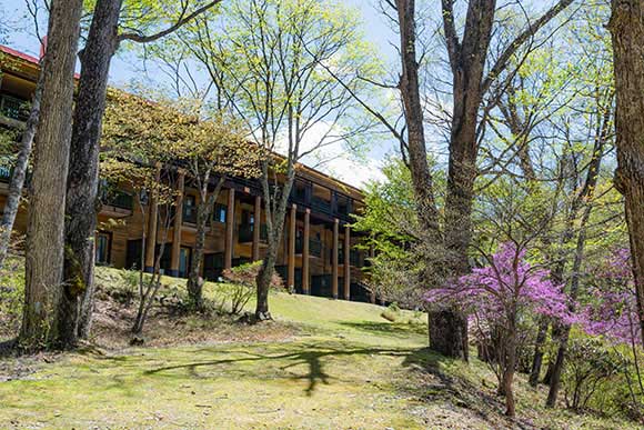 森の中にある建物