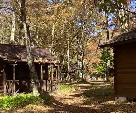 森の中に建つ小さなコテージ