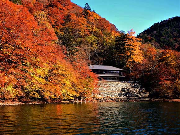 湖と燃えるような色の紅葉