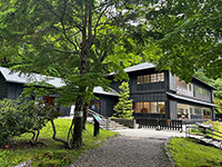 緑の木々と建物