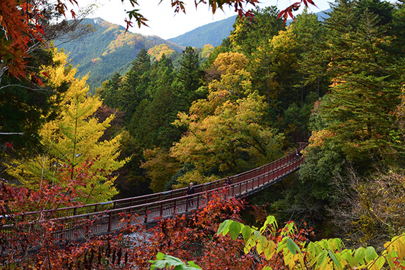 色鮮やかな木々に囲まれる石船橋