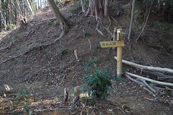 城山山頂の小さな道標