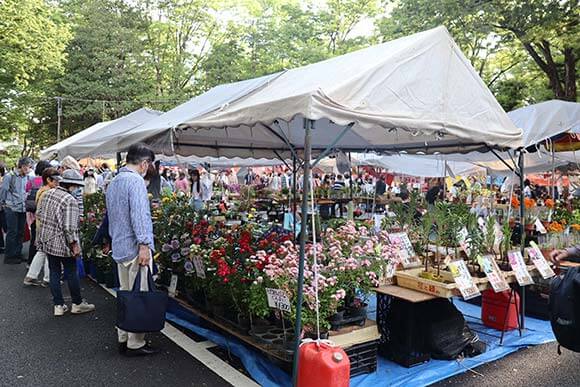 草花を販売する出店