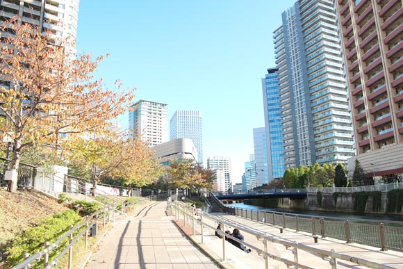 青空が広がる広い歩道