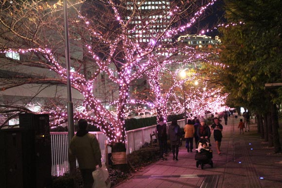 ピンク一色に光る木々