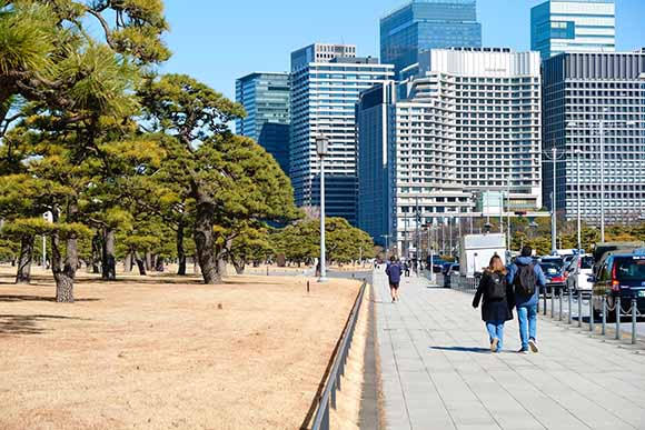 松林と都会的な道路