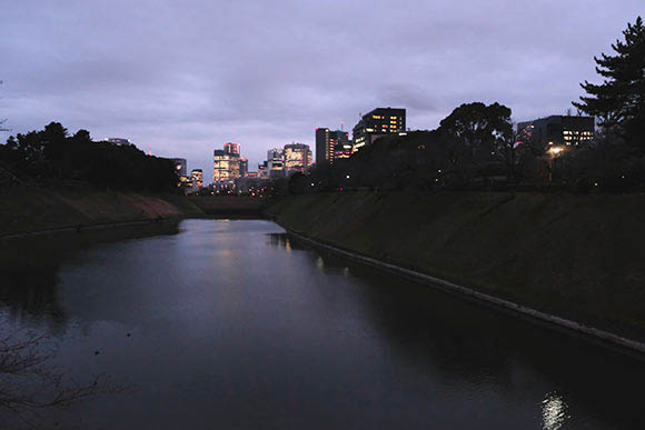 濠越しに見えるビルの夜景