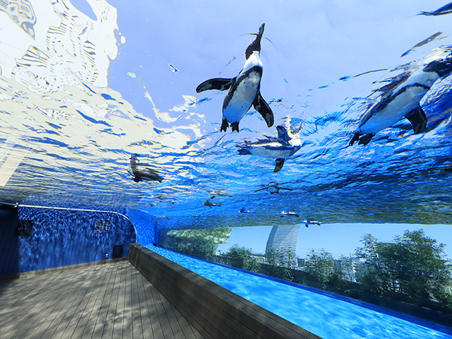 頭上にある水槽内で泳ぐペンギンたち