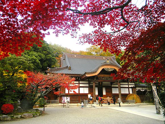 深大寺の紅葉