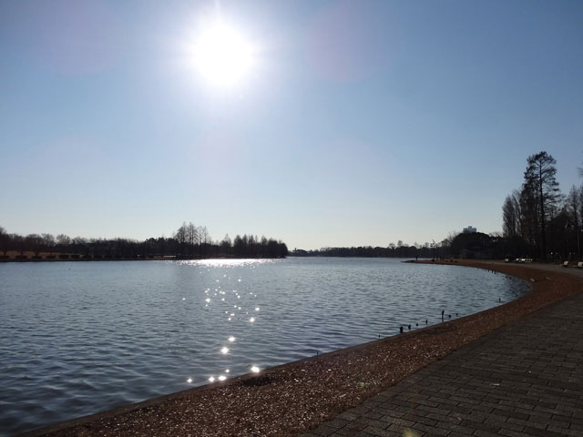 広い遊水池のある公園