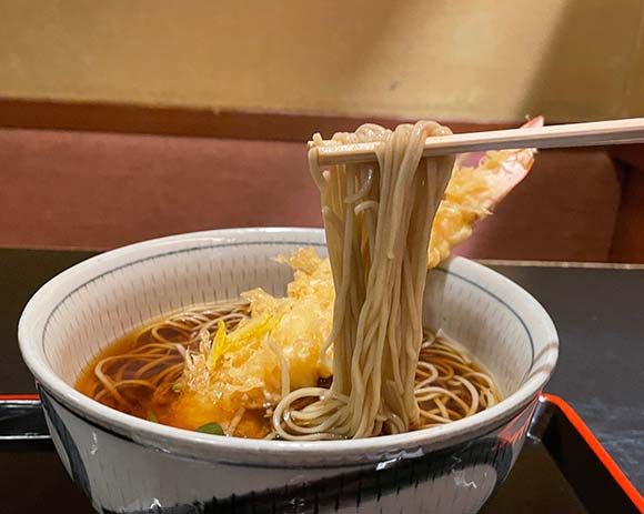 茶色いやや細めの麺