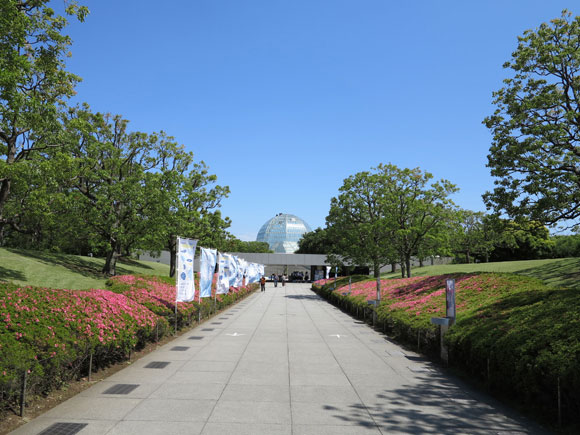 水族園へと続く道