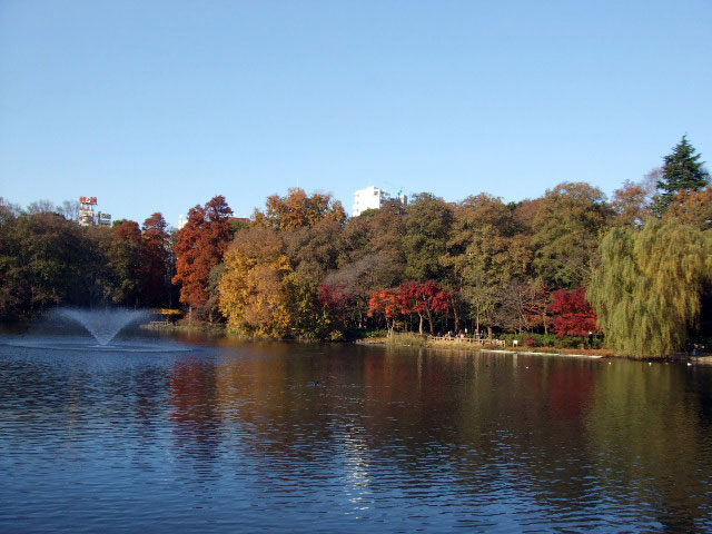 公園内にある井の頭池