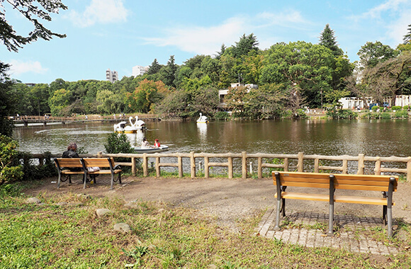 ベンチやボートが見える池の景色