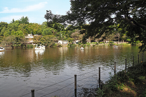 柵の向こうに広がる広い池