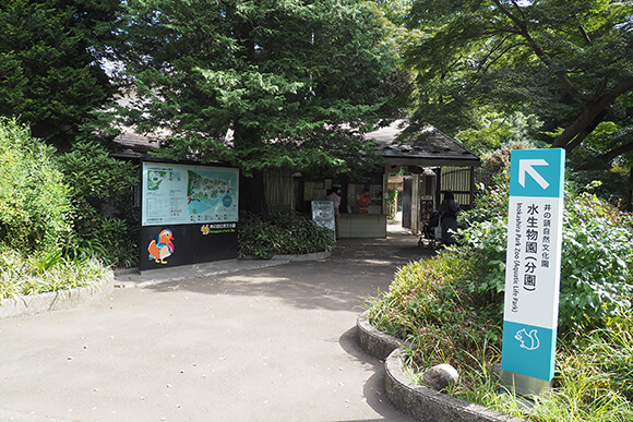 水生物園入り口への看板