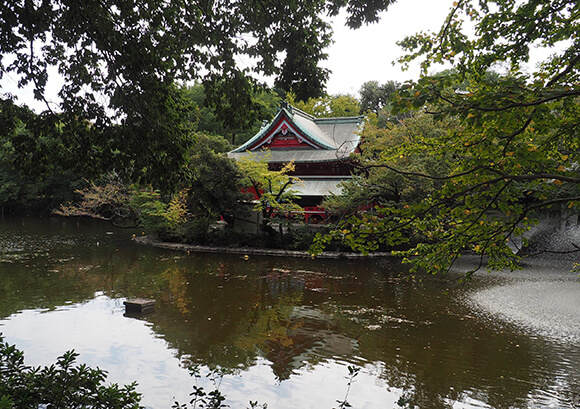 池の向こうに見える弁財天