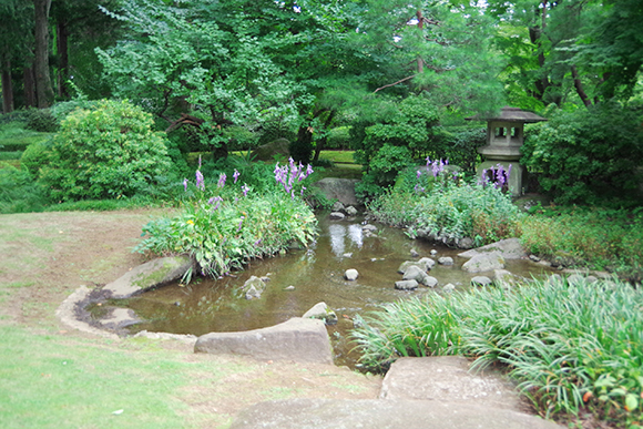 緑豊かな庭園