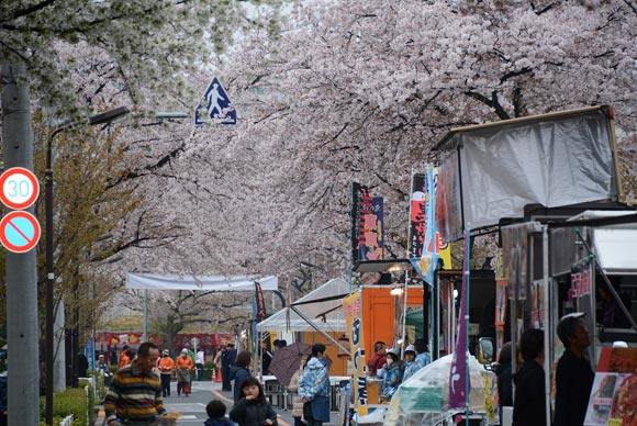 桜並木と屋台