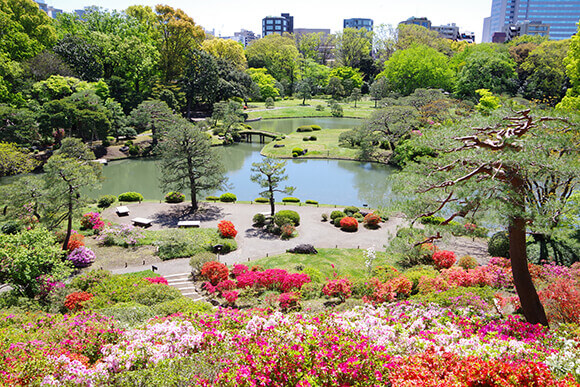 桜 紅葉から営業情報まで 六義園の見どころ完全ガイド 免許と一緒に タイムズクラブ