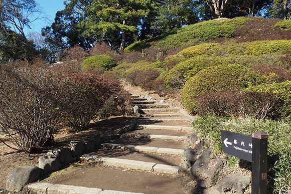 山頂へと続く階段