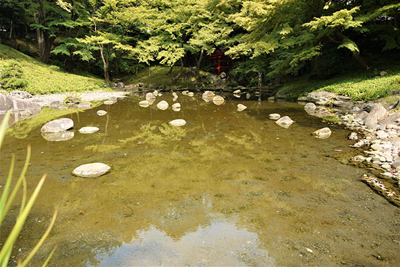 川の中に点々とある大きな石