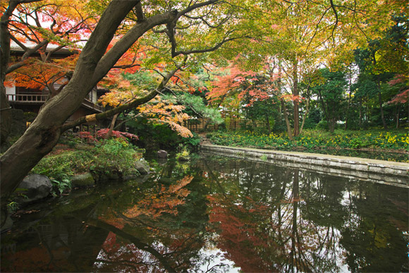 紅葉の西湖の堤