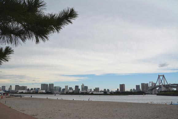 お台場海浜公園の浜辺