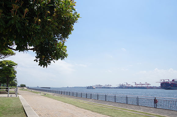 青空、緑、海に囲まれた爽やかな道