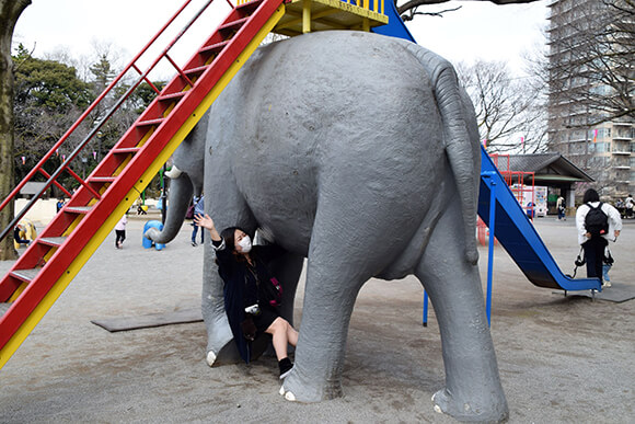 飛鳥山公園ゾウのすべり台で遊ぶ女性