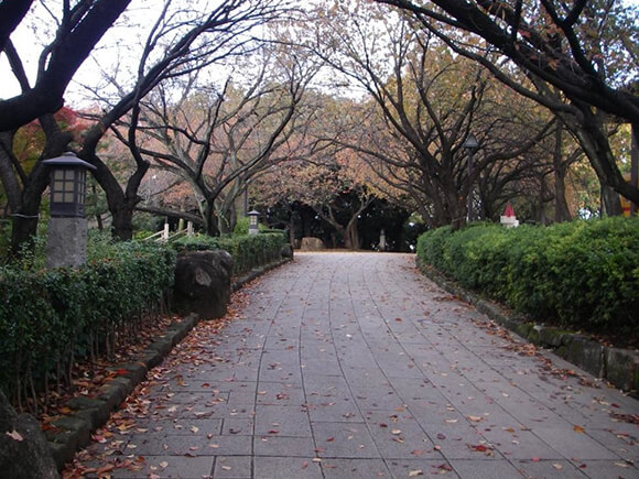 飛鳥山公園の紅葉