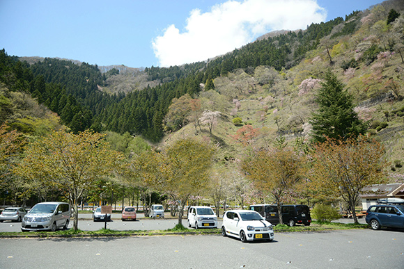 自然に囲まれた大きな駐車場