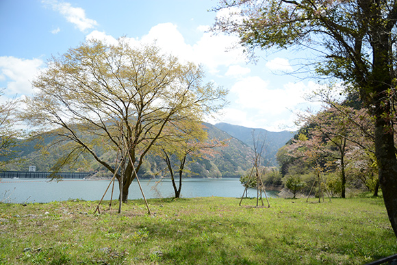 緑に囲まれた奥多摩湖