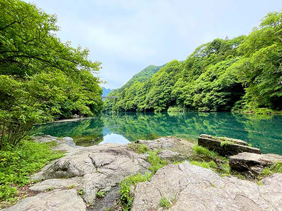 緑豊かな湖