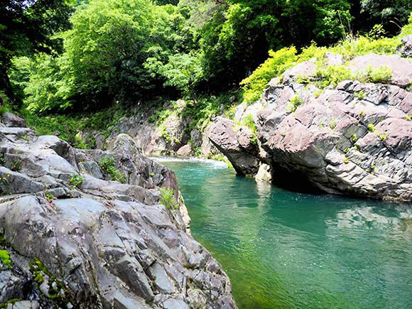 吊り橋から見る景色