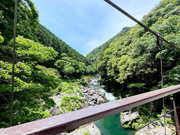 吊り橋から見る景色