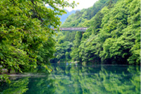 遠くに橋が架かる湖