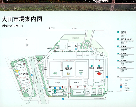 食堂で市場グルメも楽しめる！大田市場に見学に行ってみよう
            大田（東京都）