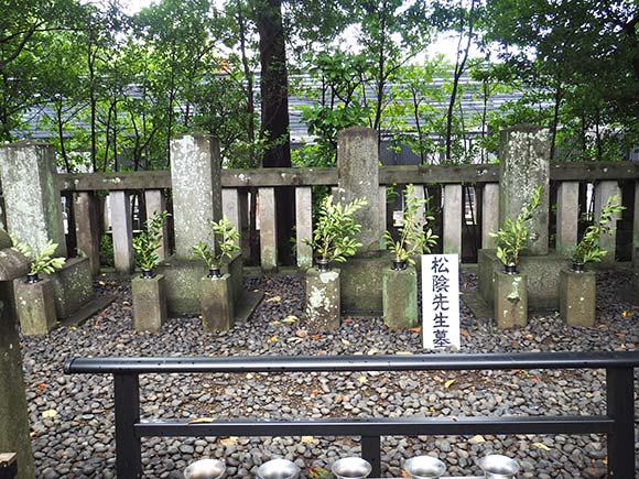 並んだ墓石