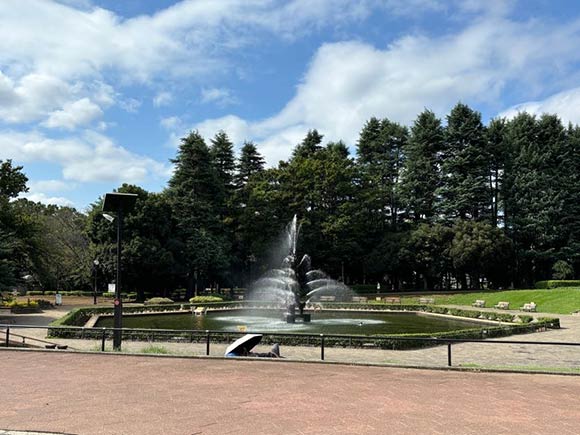 公園の中にある噴水