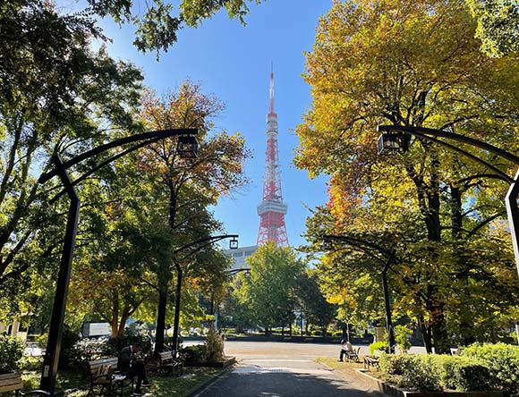 木々の隙間から覗く東京タワー
