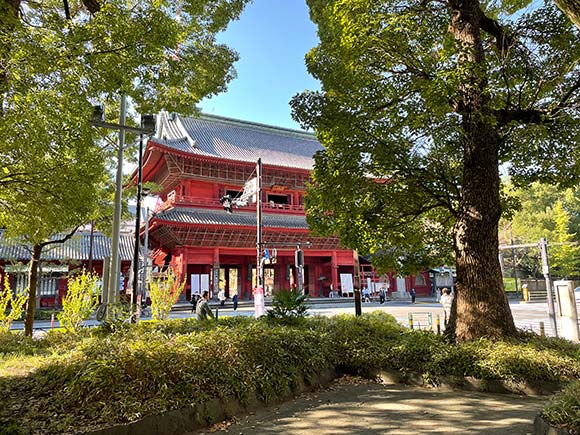 公園から見える大きな朱色の門