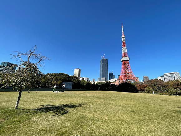 東京タワーを望む広々した芝生エリア
