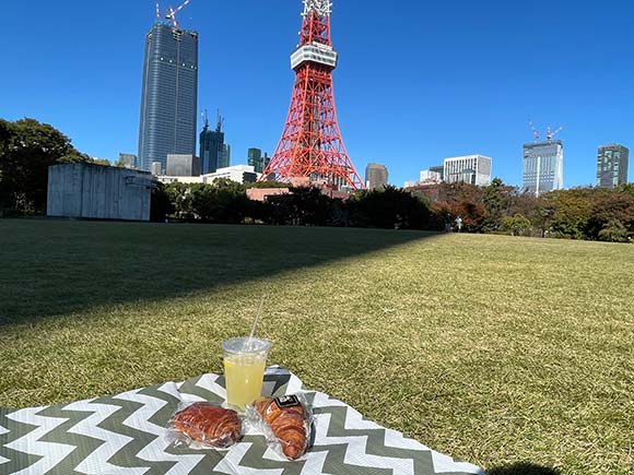 芝生に広げられたレジャーシート