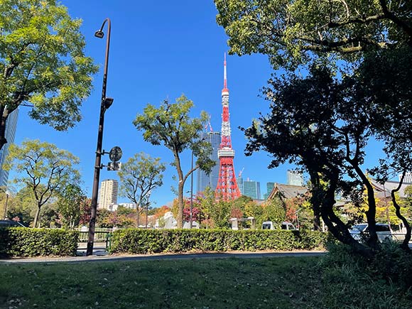 園内から見る東京タワー