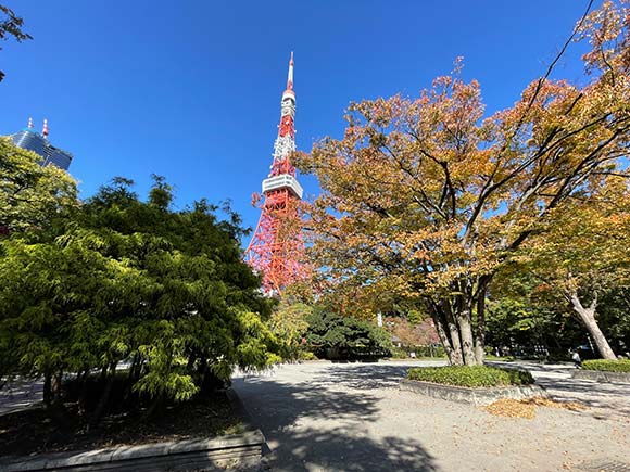 園内から見える東京タワー