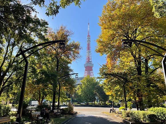 生茂る木々と東京タワー