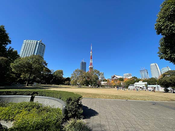 区立芝公園の芝生